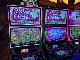 Antarmuka Roulette langsung menampilkan roda dan opsi taruhan di aplikasi seluler